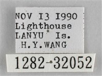 霜天蛾藏品圖，第3張