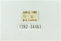 連珠波紋蛾藏品圖，第3張