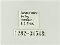 玳灰蝶藏品圖，第3張