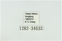 小翠灰蝶藏品圖，第3張
