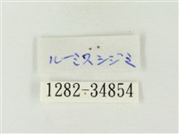 蔚青紫灰蝶藏品圖，第3張
