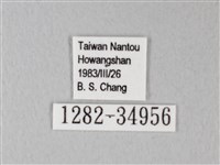 淡青雅波灰蝶藏品圖，第3張