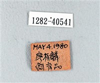Accession Number:001282-40541 Collection Image, Figure 3, Total 3 Figures