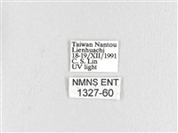 波紋枯葉蛾藏品圖，第3張