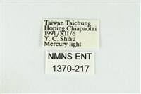 黑翅黃毒蛾藏品圖，第3張