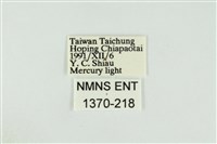 黑翅黃毒蛾藏品圖，第3張