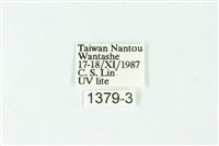 三色豔苔蛾藏品圖，第3張