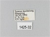 緣斑枯葉蛾藏品圖，第3張