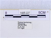 閃光苔蛾藏品圖，第3張