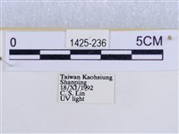 後凸蝶燈蛾藏品圖，第3張