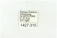 樹形尺蛾藏品圖，第3張