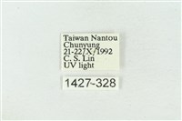 大斑波紋蛾藏品圖，第3張