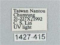 銀斑黃鉤蛾藏品圖，第3張