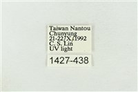 素木氏美波紋蛾藏品圖，第3張