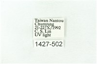 臺雪苔蛾藏品圖，第3張