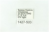 臺雪苔蛾藏品圖，第3張