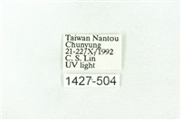 臺雪苔蛾藏品圖，第3張