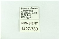 臺雪苔蛾藏品圖，第3張