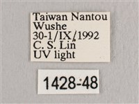銀斑黃鉤蛾藏品圖，第3張
