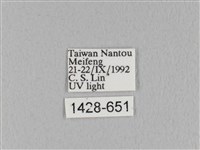 褐斜帶枯葉蛾藏品圖，第3張