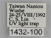 森林暮眼蝶、黑樹蔭蝶藏品圖，第3張