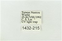 基褐綠刺蛾藏品圖，第3張