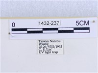 閃光苔蛾藏品圖，第3張