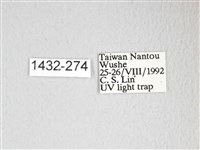 圓翅大鉤蛾藏品圖，第3張