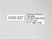 圓翅大鉤蛾藏品圖，第3張