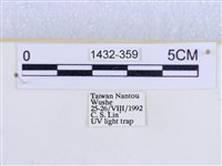 閃光苔蛾藏品圖，第3張