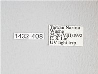 圓翅大鉤蛾藏品圖，第3張