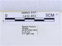 閃光苔蛾藏品圖，第3張