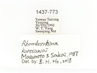 姬黑騷金龜藏品圖，第2張