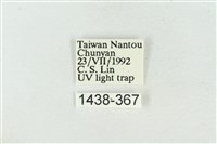 素木氏美波紋蛾藏品圖，第3張