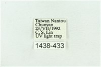 粉紅帶散紋夜蛾藏品圖，第3張