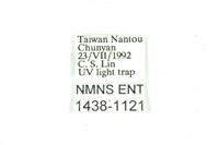 臺雪苔蛾藏品圖，第3張