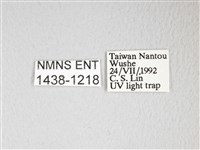 圓翅大鉤蛾藏品圖，第3張