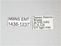 圓翅大鉤蛾藏品圖，第3張