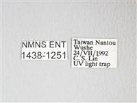 圓翅大鉤蛾藏品圖，第3張