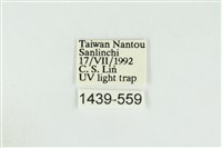 寬紋黃毒蛾藏品圖，第3張