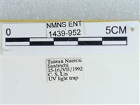 登錄號:001439-00952藏品圖，第3張