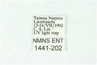 三條橙燈蛾藏品圖，第3張