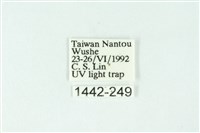 三色豔苔蛾藏品圖，第3張