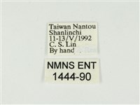 史氏狹翅螢斑蛾藏品圖，第3張