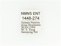 巴蘭陷紋金龜藏品圖，第2張