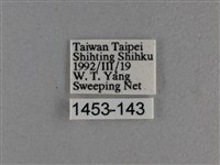 黃豹盛蛺蝶藏品圖，第3張