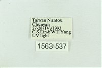 菊池污燈蛾藏品圖，第3張