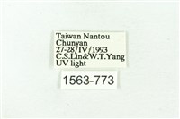 臺雪苔蛾藏品圖，第3張