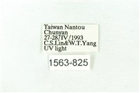 臺雪苔蛾藏品圖，第3張