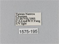 登錄號:001575-00195藏品圖，第3張